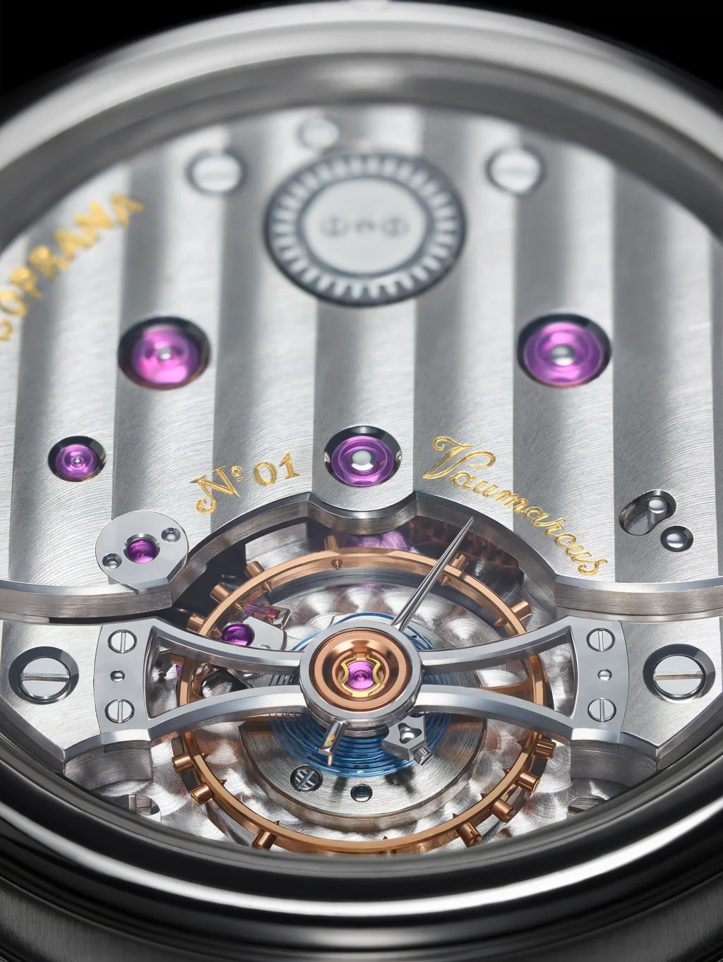 Calibre LSTO — caseback